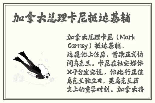 跑跑影视